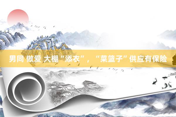 男同 做爱 大棚“添衣”，“菜篮子”供应有保险