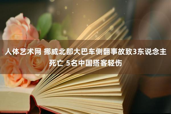 人体艺术网 挪威北部大巴车侧翻事故致3东说念主死亡 5名中国搭客轻伤