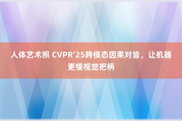 人体艺术照 CVPR‘25跨模态因果对皆，让机器更懂视觉把柄