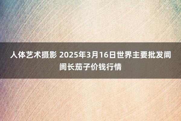 人体艺术摄影 2025年3月16日世界主要批发阛阓长茄子价钱行情