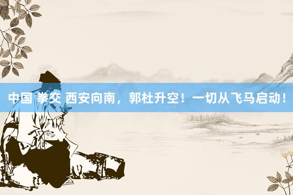 中国 拳交 西安向南，郭杜升空！一切从飞马启动！