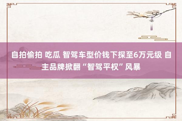 自拍偷拍 吃瓜 智驾车型价钱下探至6万元级 自主品牌掀翻“智驾平权”风暴