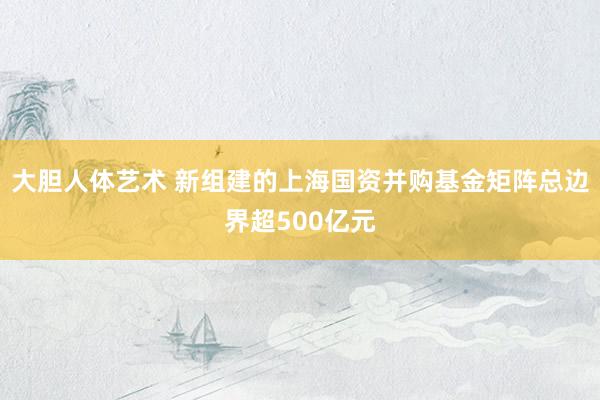 大胆人体艺术 新组建的上海国资并购基金矩阵总边界超500亿元