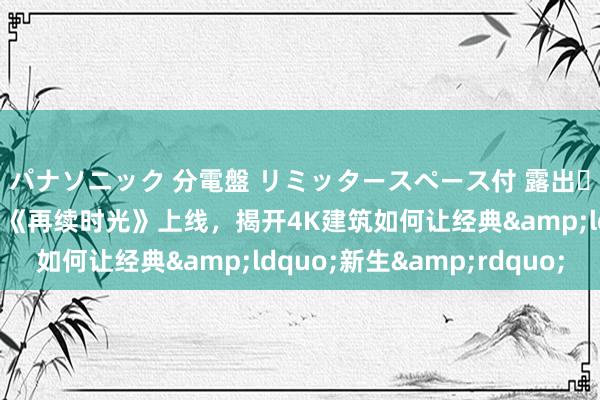パナソニック 分電盤 リミッタースペース付 露出・半埋込両用形 记载片《再续时光》上线，揭开4K建筑如何让经典&ldquo;新生&rdquo;
