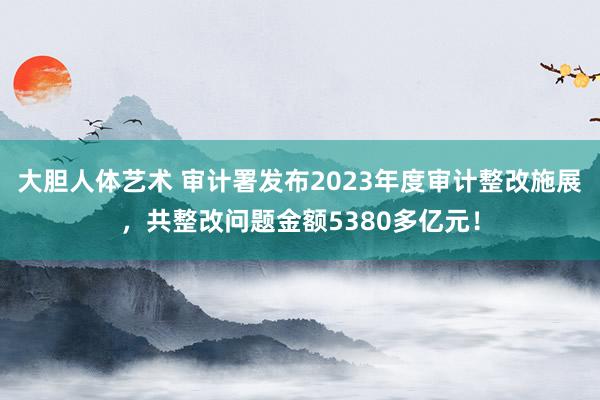 大胆人体艺术 审计署发布2023年度审计整改施展，共整改问题金额5380多亿元！