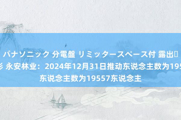 パナソニック 分電盤 リミッタースペース付 露出・半埋込両用形 永安林业：2024年12月31日推动东说念主数为19557东说念主