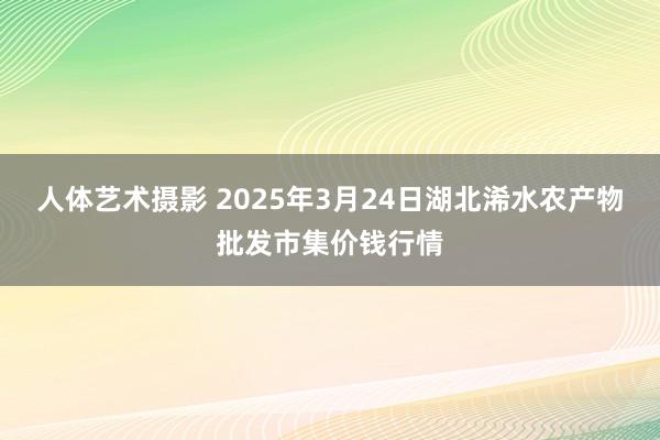 人体艺术摄影 2025年3月24日湖北浠水农产物批发市集价钱行情
