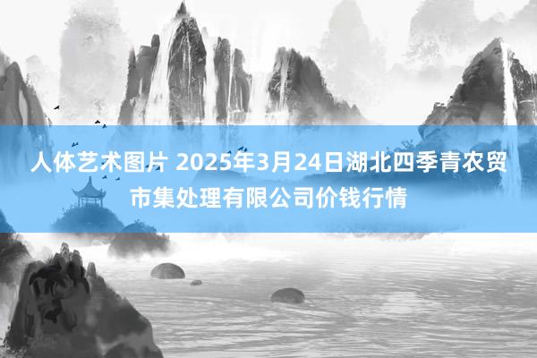 人体艺术图片 2025年3月24日湖北四季青农贸市集处理有限公司价钱行情