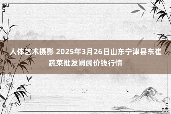 人体艺术摄影 2025年3月26日山东宁津县东崔蔬菜批发阛阓价钱行情