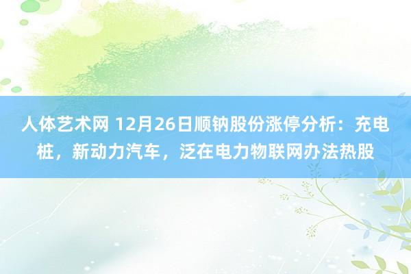 人体艺术网 12月26日顺钠股份涨停分析：充电桩，新动力汽车，泛在电力物联网办法热股