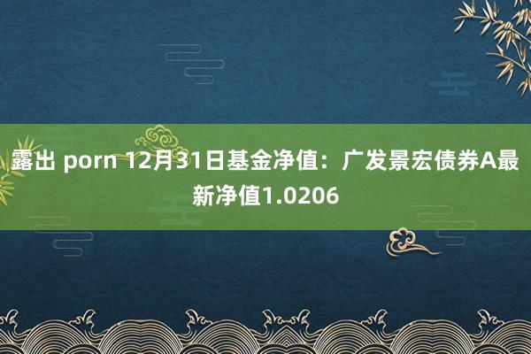 露出 porn 12月31日基金净值：广发景宏债券A最新净值1.0206