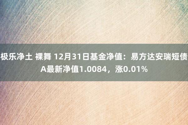 极乐净土 裸舞 12月31日基金净值：易方达安瑞短债A最新净值1.0084，涨0.01%