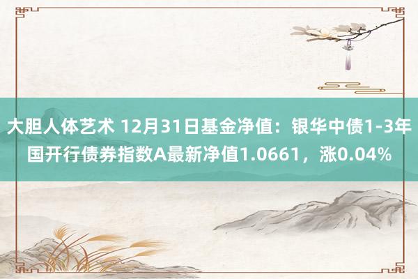 大胆人体艺术 12月31日基金净值：银华中债1-3年国开行债券指数A最新净值1.0661，涨0.04%
