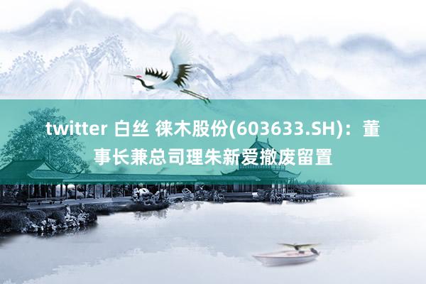 twitter 白丝 徕木股份(603633.SH)：董事长兼总司理朱新爱撤废留置