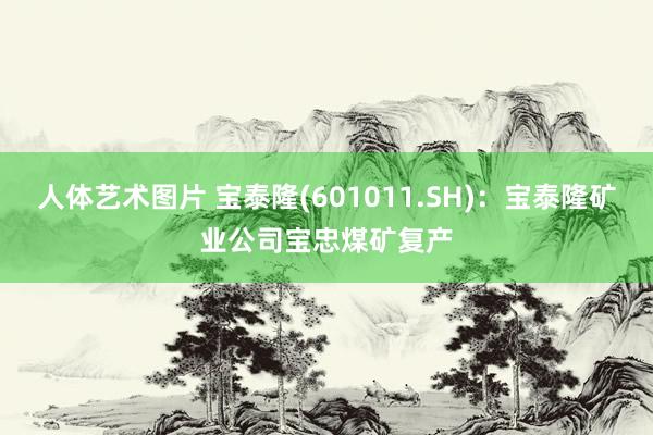 人体艺术图片 宝泰隆(601011.SH)：宝泰隆矿业公司宝忠煤矿复产