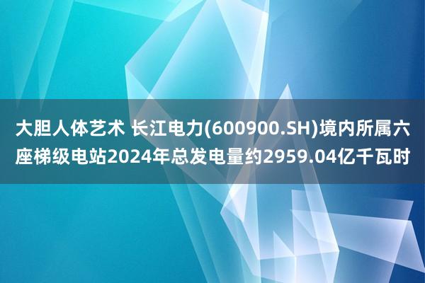 大胆人体艺术 长江电力(600900.SH)境内所属六座梯级电站2024年总发电量约2959.04亿千瓦时