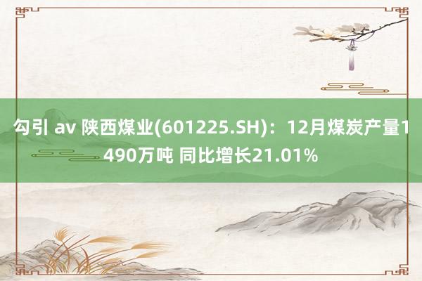 勾引 av 陕西煤业(601225.SH)：12月煤炭产量1490万吨 同比增长21.01%