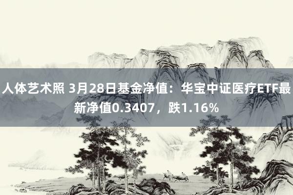 人体艺术照 3月28日基金净值：华宝中证医疗ETF最新净值0.3407，跌1.16%