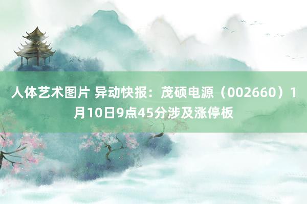 人体艺术图片 异动快报：茂硕电源（002660）1月10日9点45分涉及涨停板