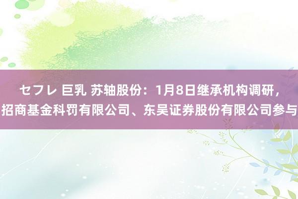 セフレ 巨乳 苏轴股份：1月8日继承机构调研，招商基金科罚有限公司、东吴证券股份有限公司参与