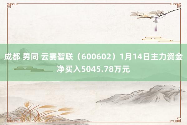 成都 男同 云赛智联（600602）1月14日主力资金净买入5045.78万元