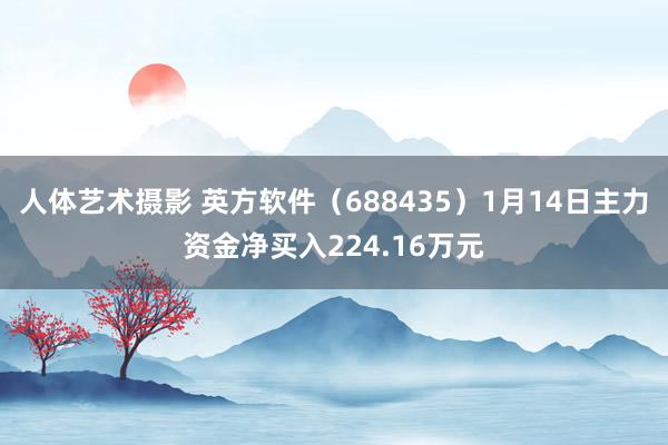 人体艺术摄影 英方软件（688435）1月14日主力资金净买入224.16万元