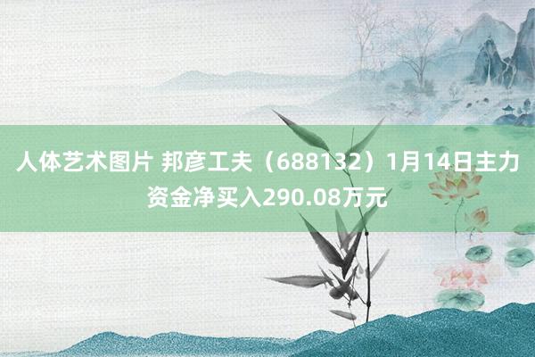 人体艺术图片 邦彦工夫（688132）1月14日主力资金净买入290.08万元