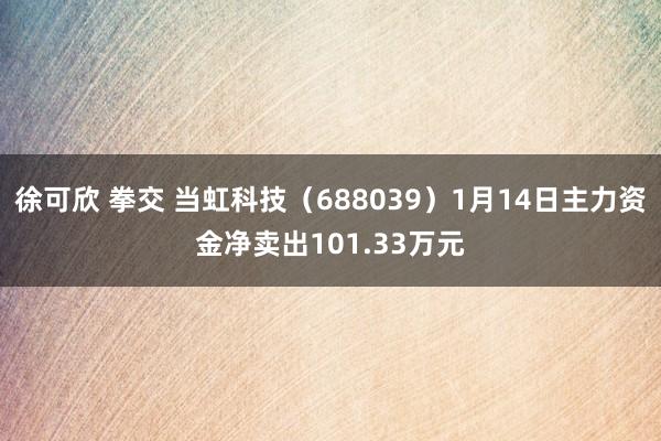 徐可欣 拳交 当虹科技（688039）1月14日主力资金净卖出101.33万元