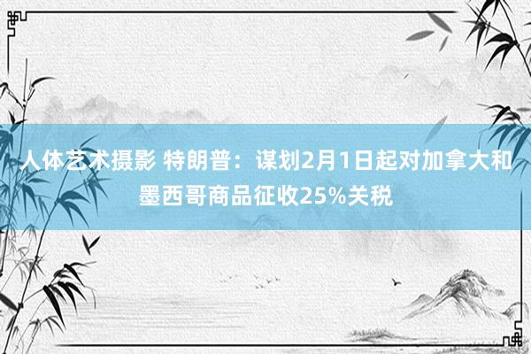 人体艺术摄影 特朗普：谋划2月1日起对加拿大和墨西哥商品征收25%关税