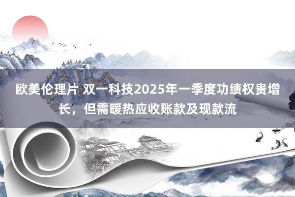 欧美伦理片 双一科技2025年一季度功绩权贵增长，但需暖热应收账款及现款流