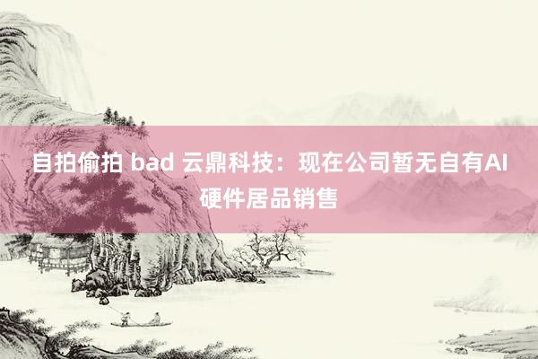 自拍偷拍 bad 云鼎科技：现在公司暂无自有AI硬件居品销售