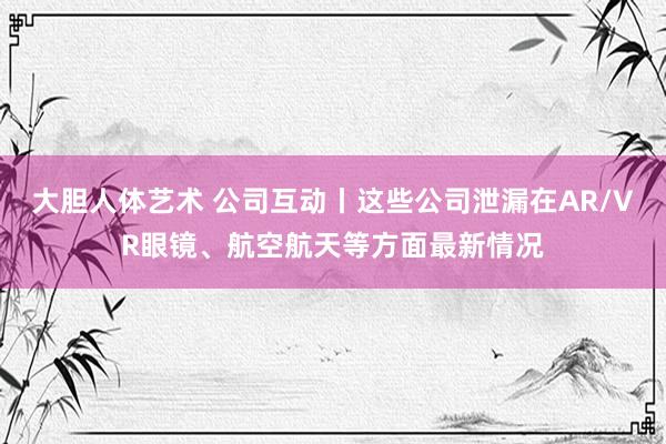 大胆人体艺术 公司互动丨这些公司泄漏在AR/VR眼镜、航空航天等方面最新情况