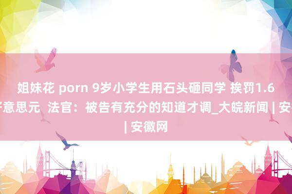 姐妹花 porn 9岁小学生用石头砸同学 挨罚1.6万好意思元  法官：被告有充分的知道才调_大皖新闻 | 安徽网