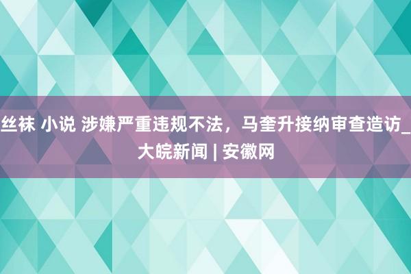 丝袜 小说 涉嫌严重违规不法，马奎升接纳审查造访_大皖新闻 | 安徽网