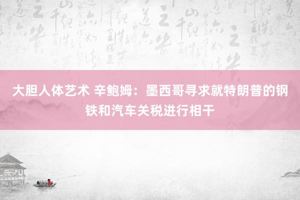 大胆人体艺术 辛鲍姆：墨西哥寻求就特朗普的钢铁和汽车关税进行相干