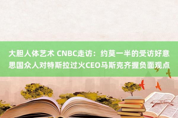 大胆人体艺术 CNBC走访：约莫一半的受访好意思国众人对特斯拉过火CEO马斯克齐握负面观点