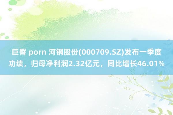 巨臀 porn 河钢股份(000709.SZ)发布一季度功绩，归母净利润2.32亿元，同比增长46.01%