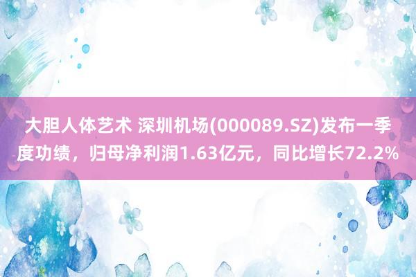 大胆人体艺术 深圳机场(000089.SZ)发布一季度功绩，归母净利润1.63亿元，同比增长72.2%