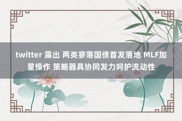 twitter 露出 两类寥落国债首发落地 MLF加量操作 策略器具协同发力呵护流动性